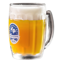 Brauerei Hauskrecht Brno Bierglas Moravia 500ml Online Bestellen